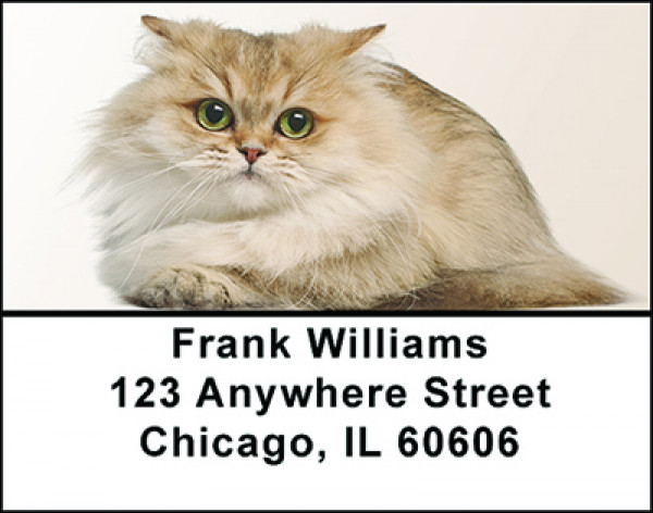 A Cat's Life Address Labels | LBBAE-71