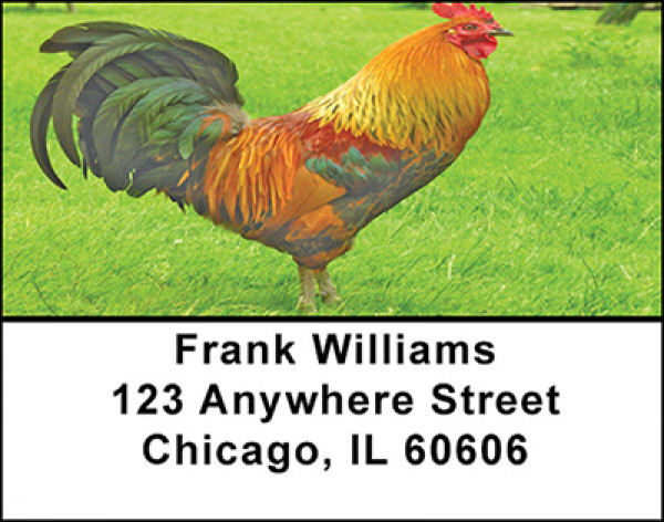 Chickens And Roosters Address Labels | LBBAE-73