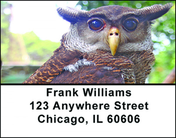 Eyes Of An Owl Address Labels | LBBAE-83