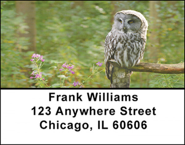 Owls On Break Address Labels | LBBAE-84