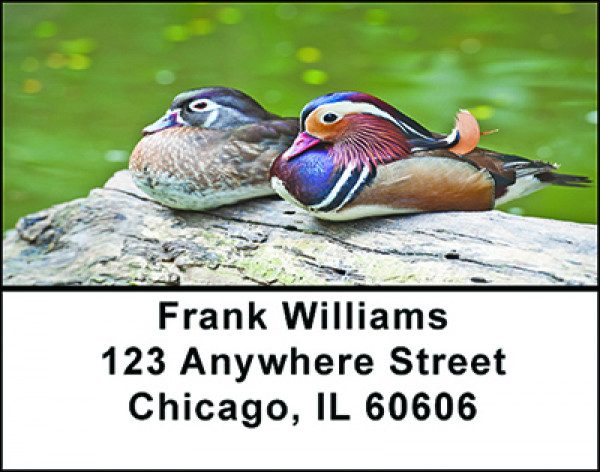 Colorful Wood Ducks Address Labels | LBBAE-89