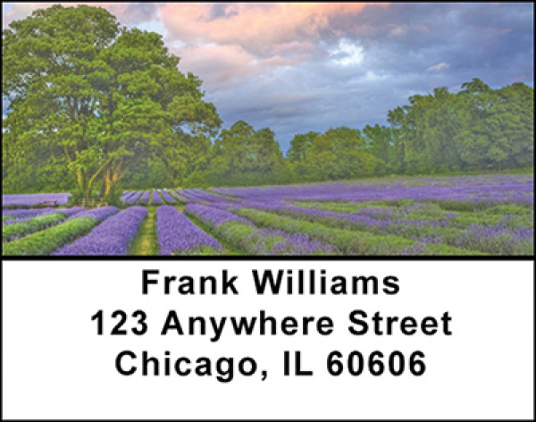 Essence of Lavender Address Labels | LBBAE-94
