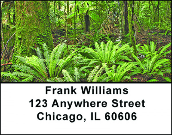 A Day In A Rainforest Address Labels | LBBAF-09