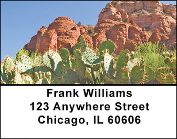 Cactus In The Desert Address Labels | LBBAF-19