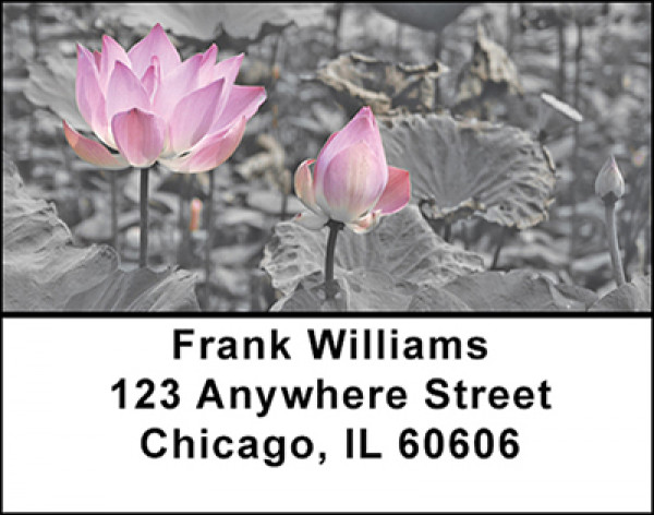 Lotus Buds Address Labels | LBBAF-23