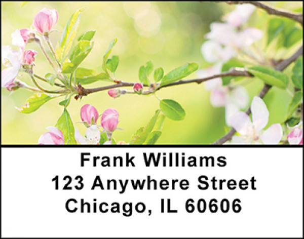 Apple Blossoms Address Labels | LBBAF-26