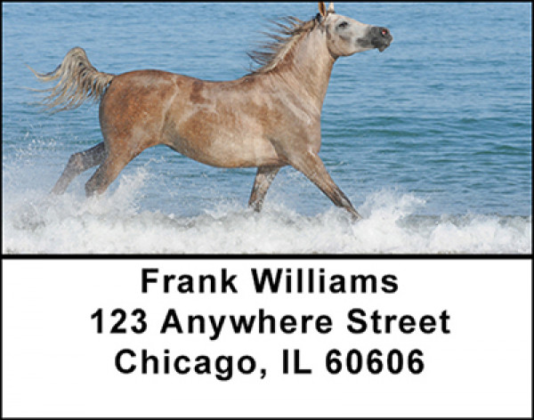 Horses in Nature Address Labels | LBBAF-45