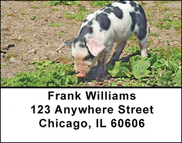 This Little Piggy Address Labels | LBBAF-46