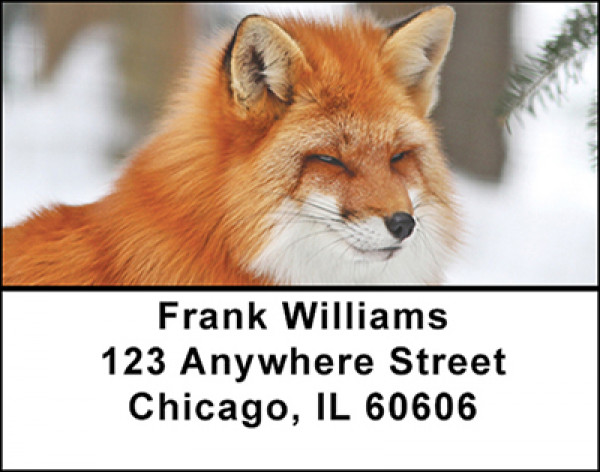 Cunning Red Fox Address Labels | LBBAF-49