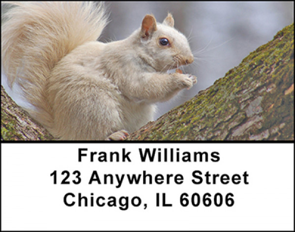 Squirrels Address Labels | LBBAF-53