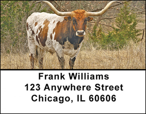 Texas Longhorns Cattle Address Labels | LBBAF-54