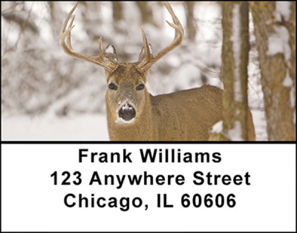 Whitetail Deer Address Labels | LBBAF-57