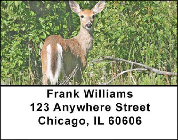Does And Fawns Address Labels | LBBAF-58