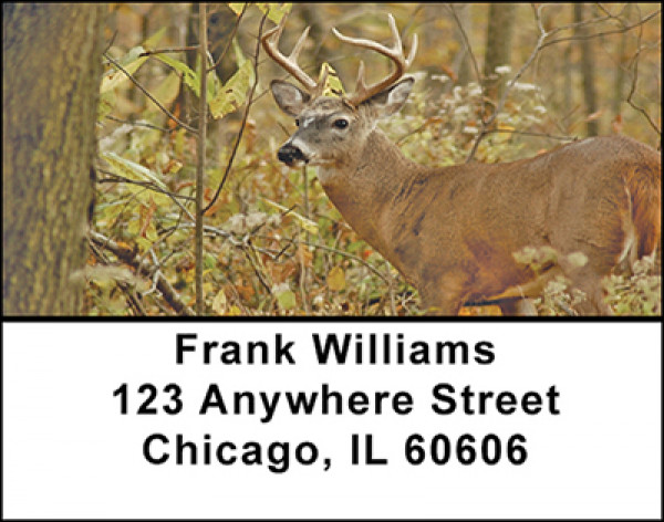 Buck Fever Address Labels | LBBAF-59