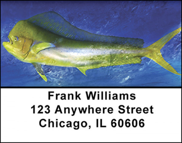 Trophy Fishing in the Gulf Address Labels | LBBAH-17