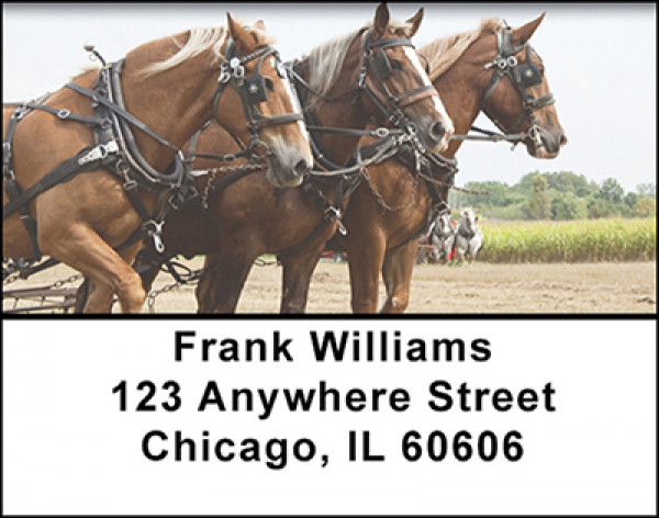 Farming with Horses Address Labels | LBBAH-25