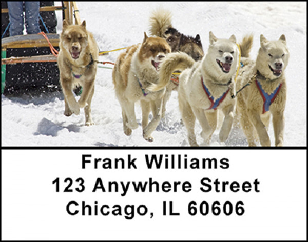 Alaskan Dog Sledding Address Labels | LBBAH-82