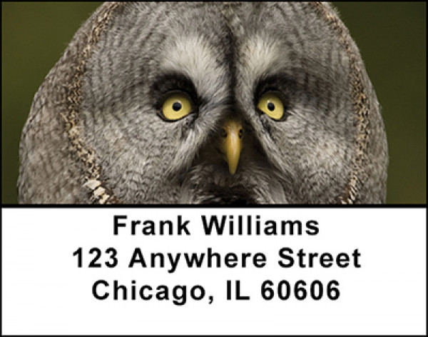 Owls Address Labels | LBBAH-97