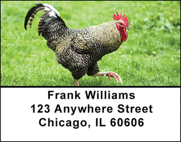 Rooster - King of the Barnyard Address Labels | LBBAH-98