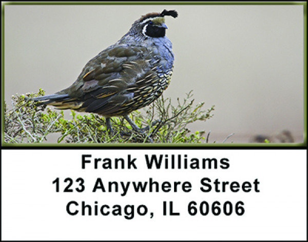 Quail Address Labels | LBBAI-14