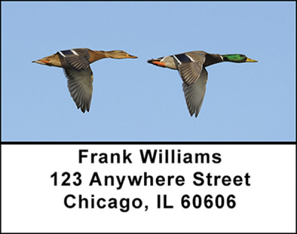 Mallard Ducks Flying Address Labels | LBBAI-21
