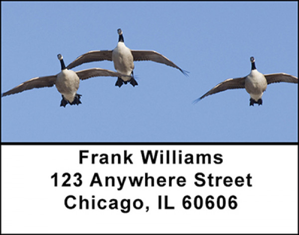 Canadian Geese in Motion Address Labels | LBBAI-22