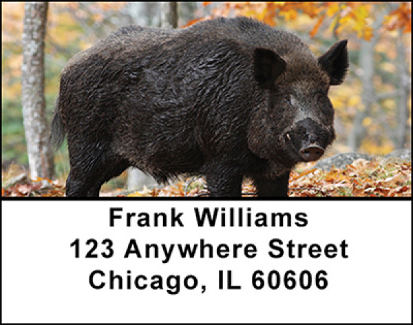 Wild Hogs Address Labels | LBBAI-26