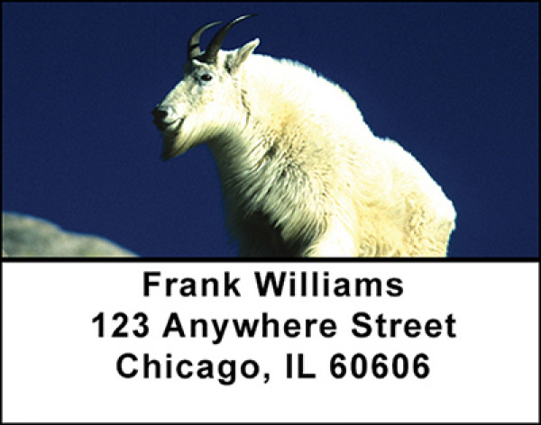 Rocky Mountain Wildlife Address Labels | LBBAI-30