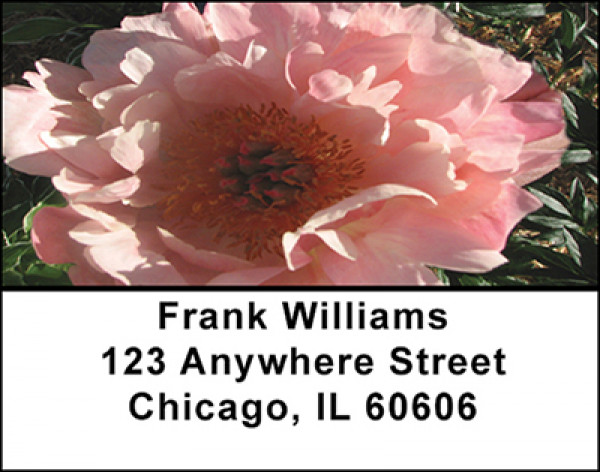 Peony Blossoms Address Labels | LBBAI-73