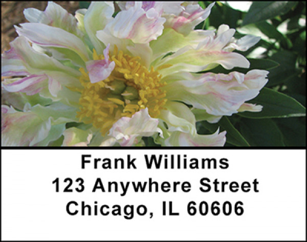 Peonies In Spring Address Labels | LBBAI-74