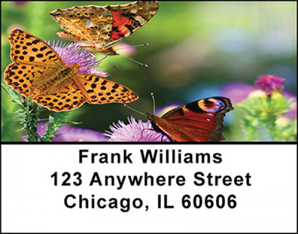 Butterflies and Blooms Address Labels | LBBAI-85