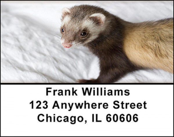 Ferret Fever Address Labels | LBBAJ-21
