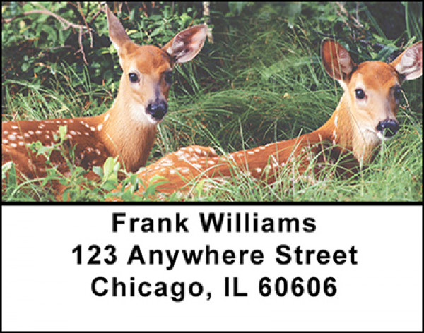 Cute Little Whitetails Address Labels | LBBAK-20