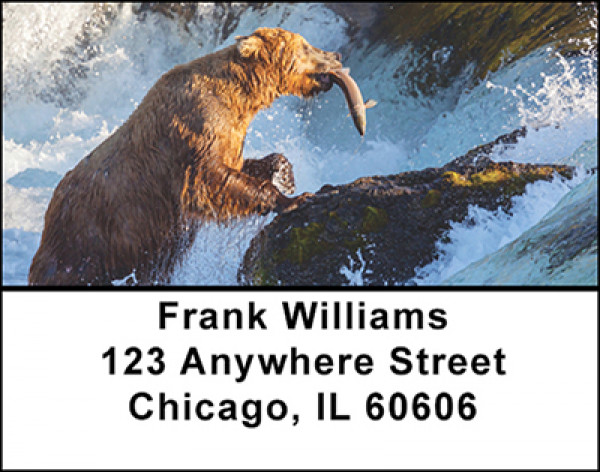 Fishing Alaska's Waters Address Labels | LBBAK-42