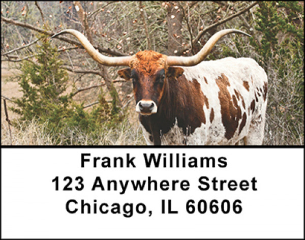Longhorn Cattle Address Labels | LBBAK-50