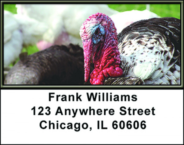 Turkey's Address Labels | LBBAK-52
