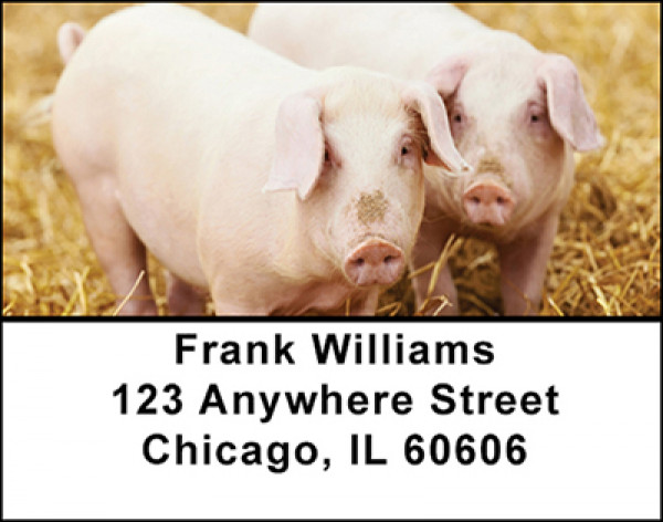 Farm Pigs Address Labels | LBBAK-54