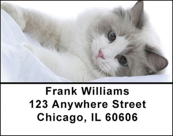 Loving Kitty's Address Labels | LBBAK-66