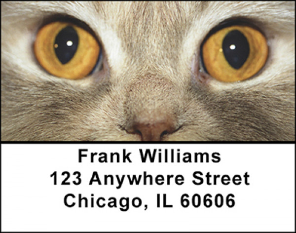 Cat's Eyes Address Labels | LBBAK-67