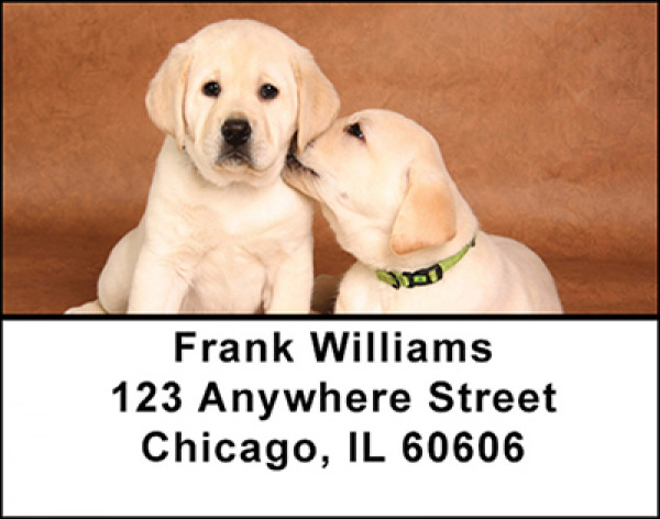 Yellow And Black Labs Address Labels | LBBAK-92