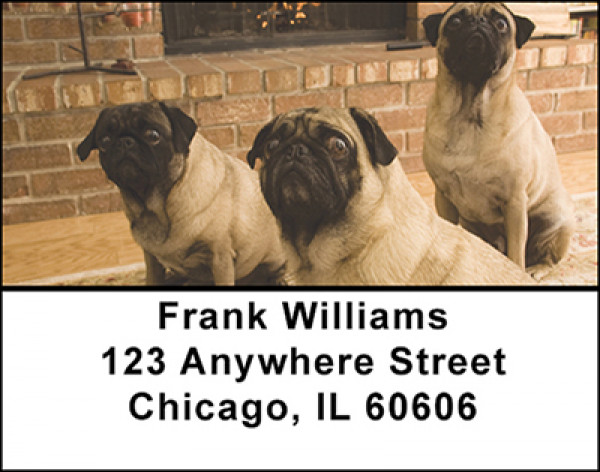 Adorable Pugs Address Labels | LBBAK-93