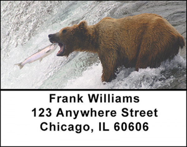 Vacation In Alaska Address Labels | LBBAK-96