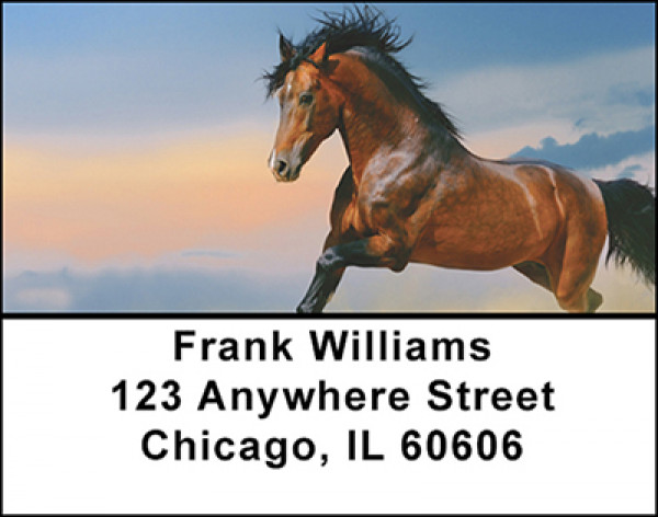 Beautiful Horses Address Labels | LBBAL-10