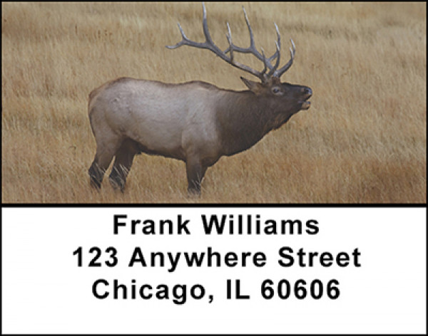 Mountain Elk Address Labels | LBBAL-11