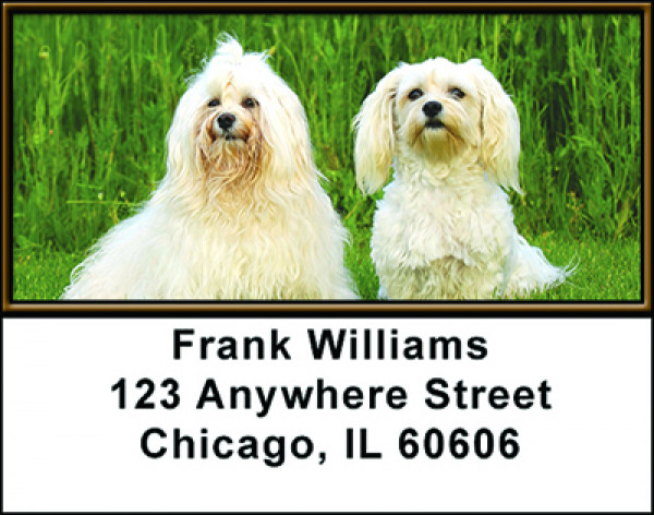 Adorable Dogs Address Labels | LBBAL-29
