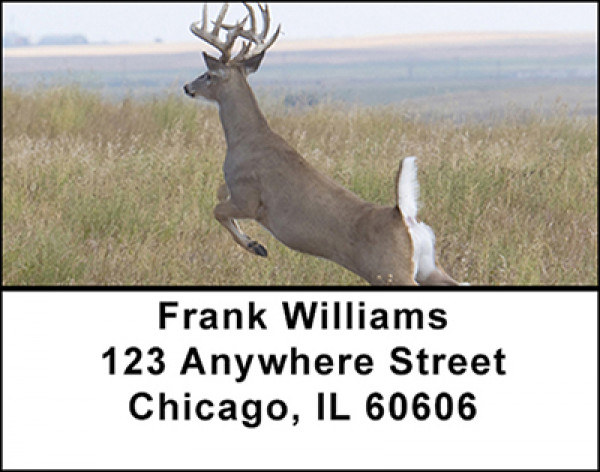 Deer in the Wild Address Labels | LBBAL-37