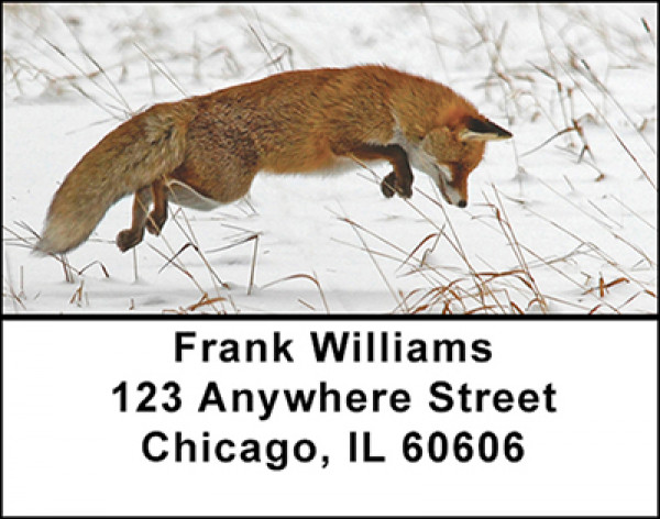 North American Red Fox Address Labels | LBBAL-45