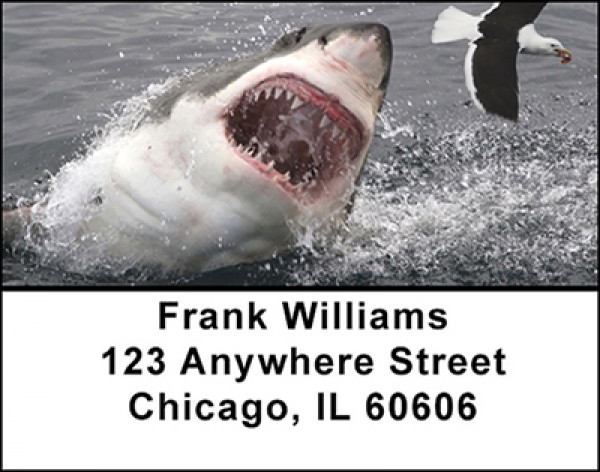 Shark Attacks Address Labels | LBBAM-53