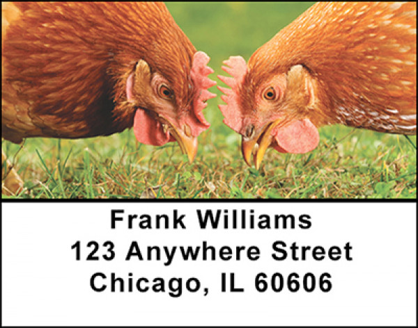 Popular Chickens Address Labels | LBBAM-58