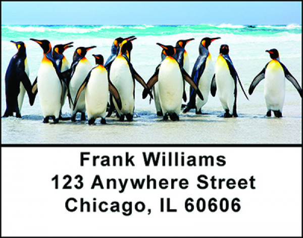 Penguins in the Arctic Address Labels | LBBAM-62